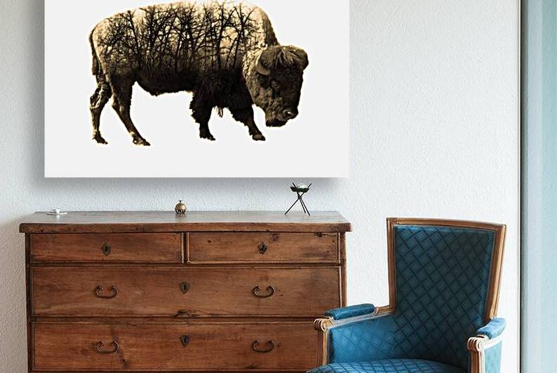 Brush Bison by B Zolle