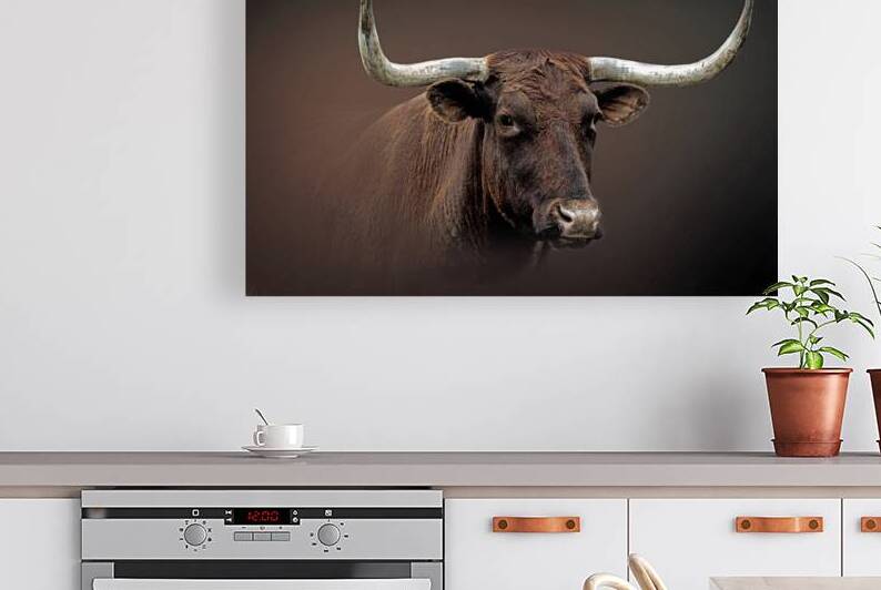 Long Horn Lady by B Zolle