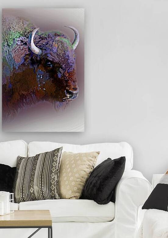 Technicolor Buffalo by B Zolle