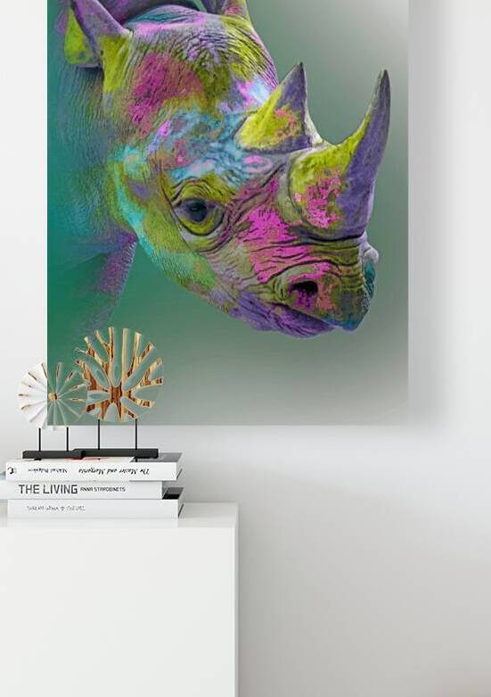 Colorful Black by B Zolle