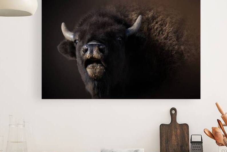 Bellowing by B Zolle