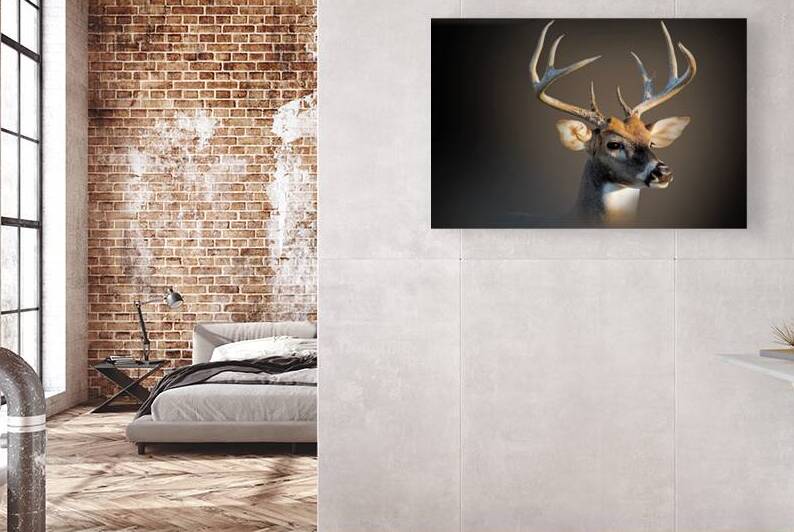 What the Buck by B Zolle