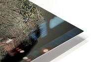 Enlarged  HD Metal print