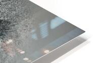 I told You So HD Metal print