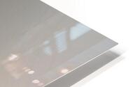 Graceful Blush   HD Metal print