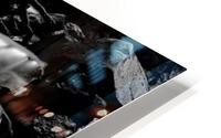 Midnight Veil HD Metal print