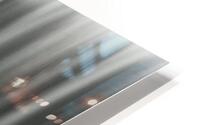 Silken Shadows HD Metal print