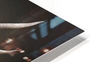 Shout Out HD Metal print