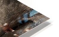 The More You Know HD Metal print