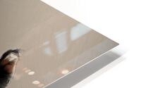 Gentle  HD Metal print