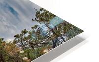 Sopris Stands Out HD Metal print