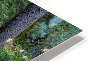 Dip Your Toes HD Metal print