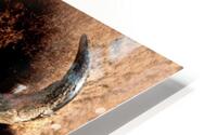 Been There HD Metal print