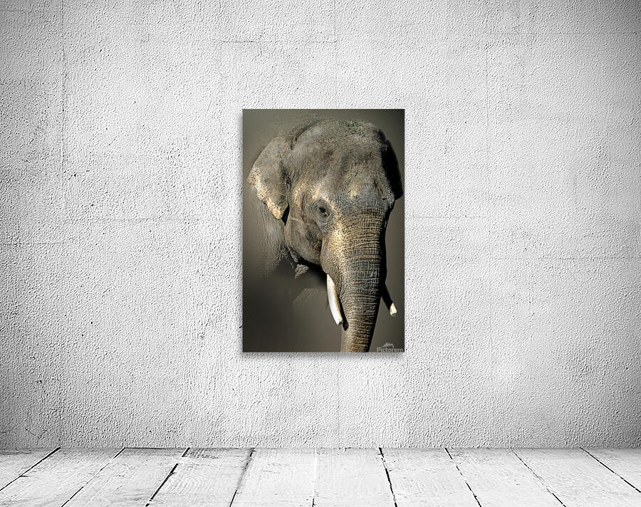 Enlarged  Wall Preview