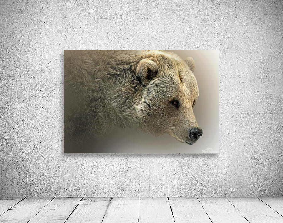 Hey Bear Wall Preview