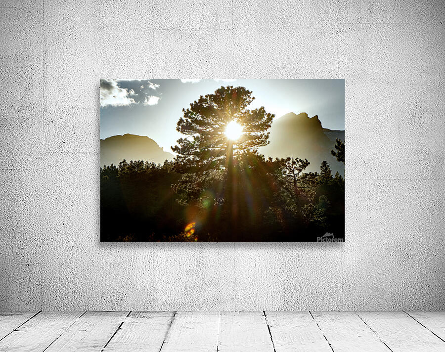 Alpine Sunbeams  Wall Preview