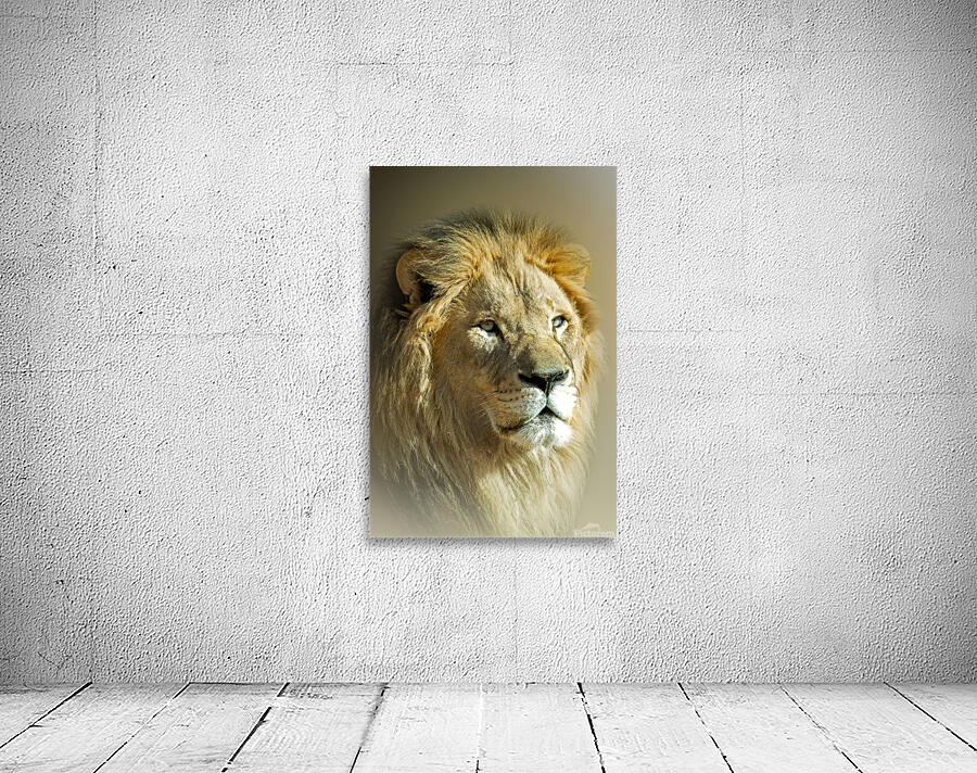 Bold as a Lion Wall Preview