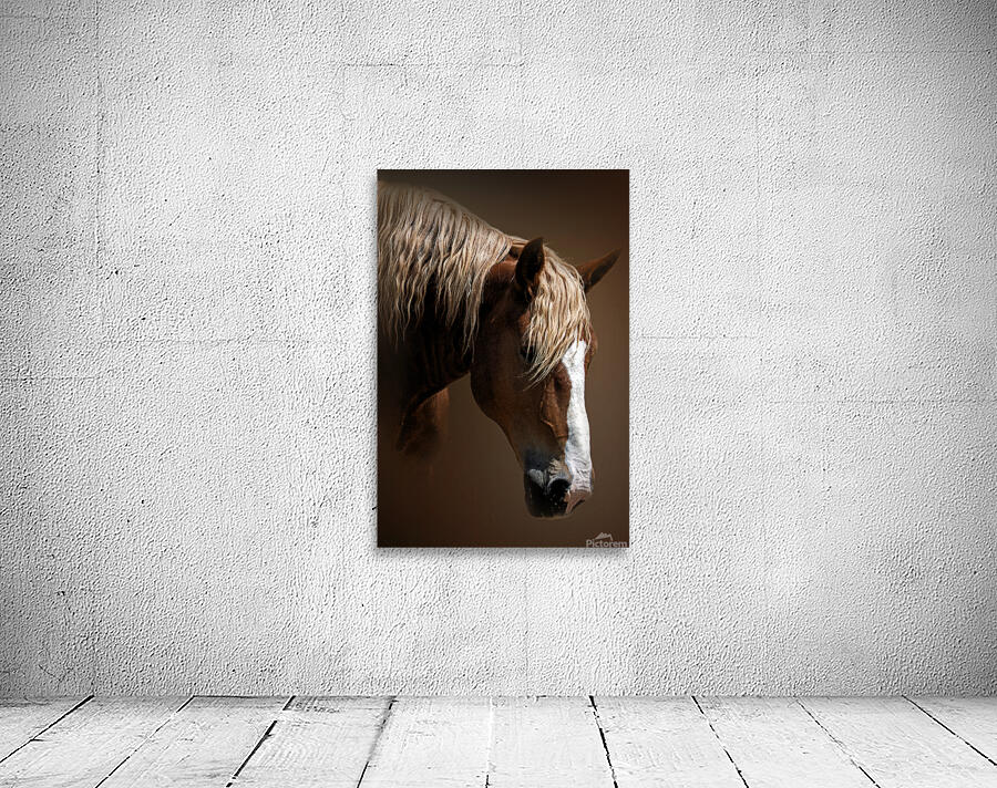 A Stable Life Wall Preview
