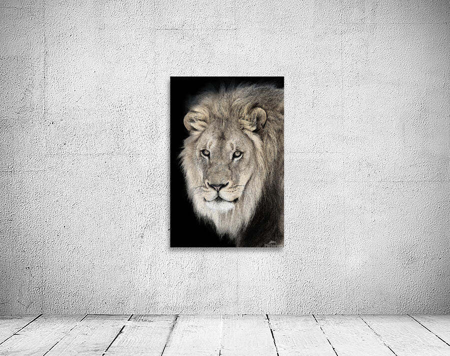 Courage Wall Preview