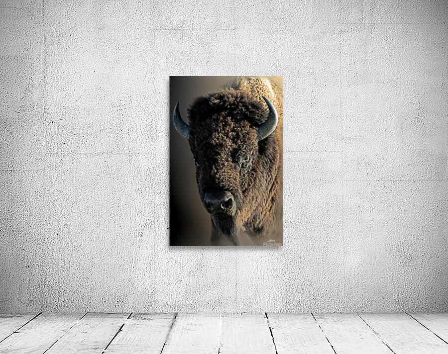 Boom Bull Wall Preview