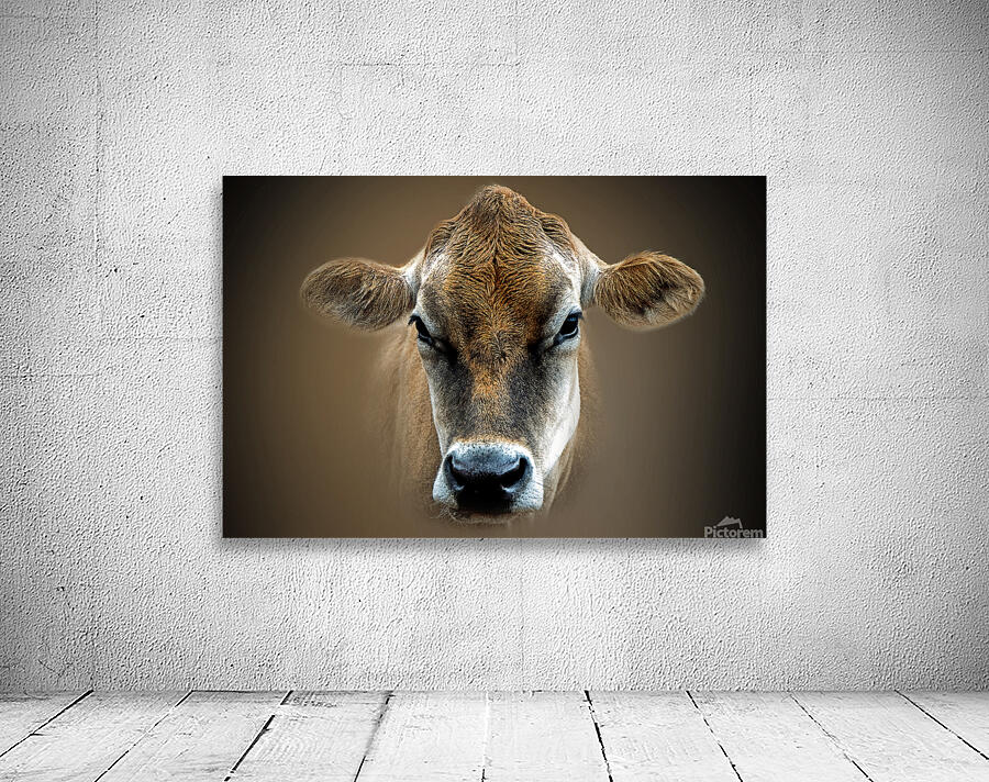 Over the MOOON Wall Preview