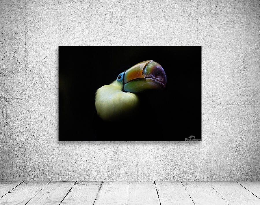 In the Light Wall Preview