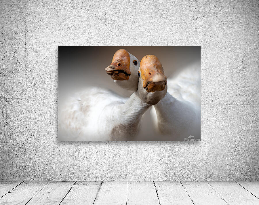 We Love You Wall Preview