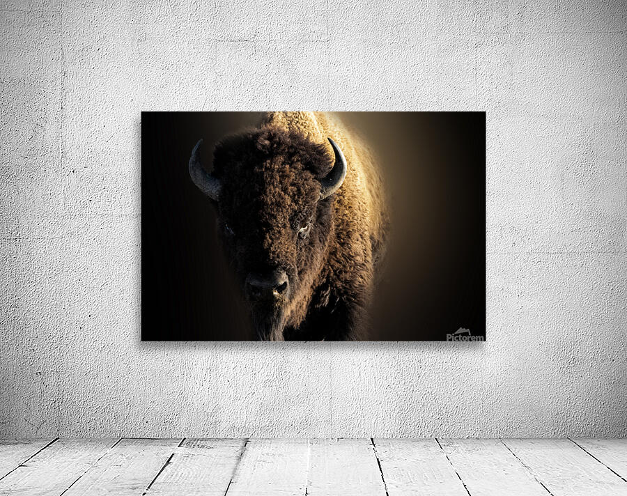 Wandering In Wall Preview