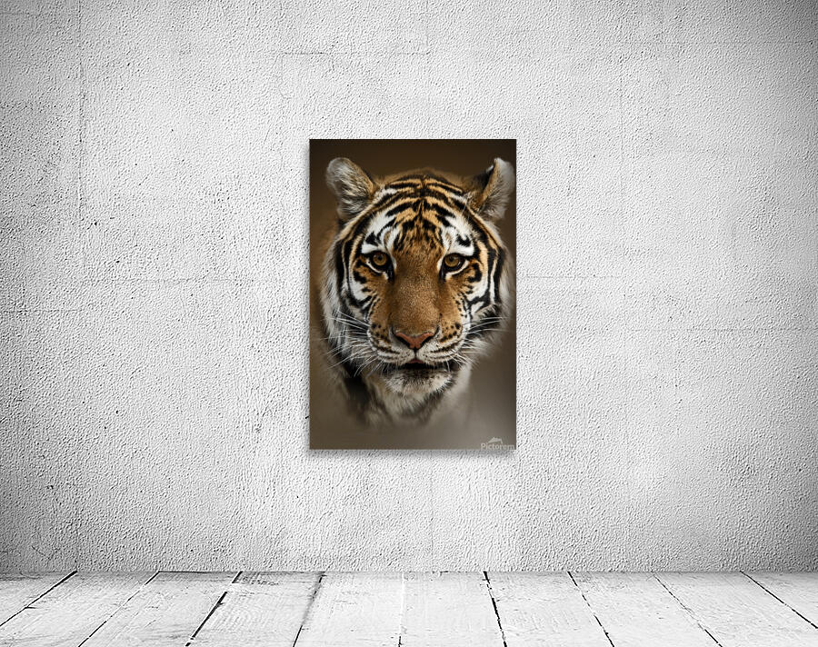 Tigress Wall Preview