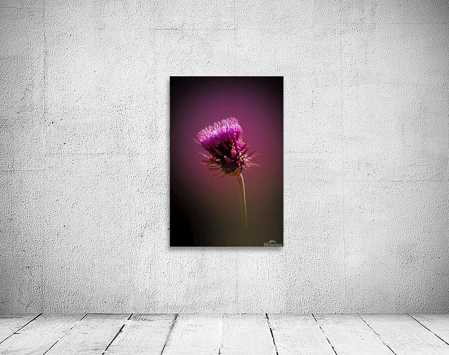 Thistle Do Wall Preview
