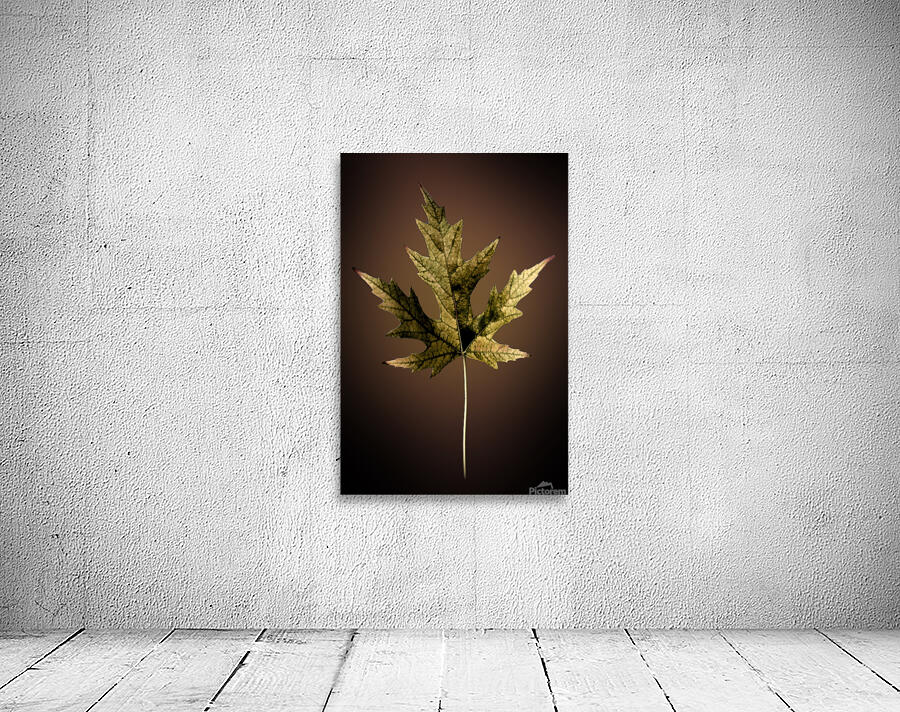 Leaf  Wall Preview