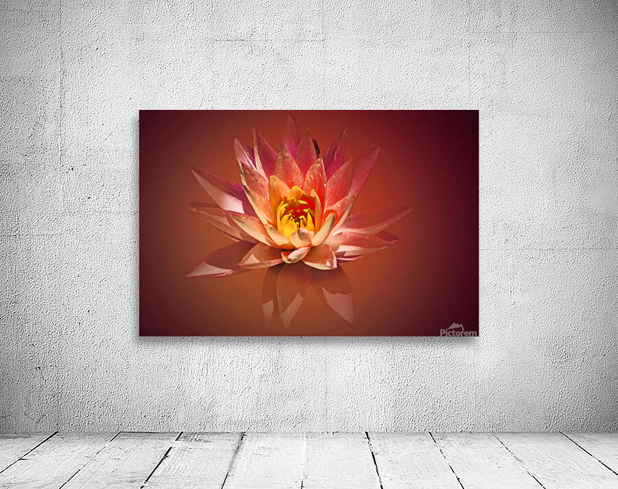 Spa Lily Wall Preview