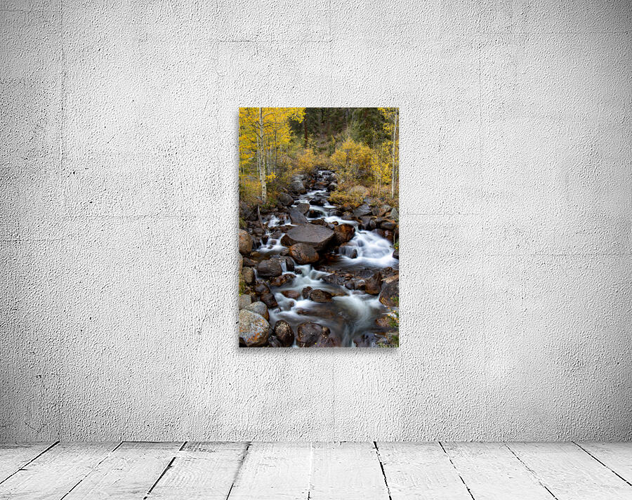 Fall Sanctuary Wall Preview