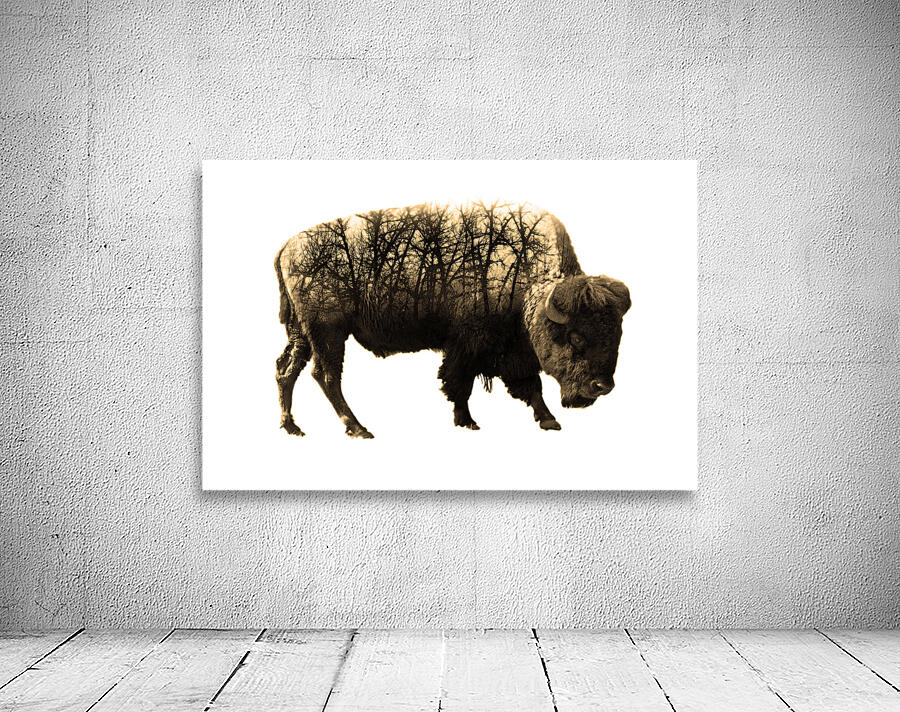 Brush Bison Wall Preview