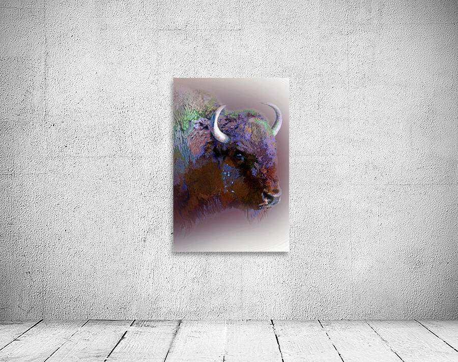 Technicolor Buffalo Wall Preview