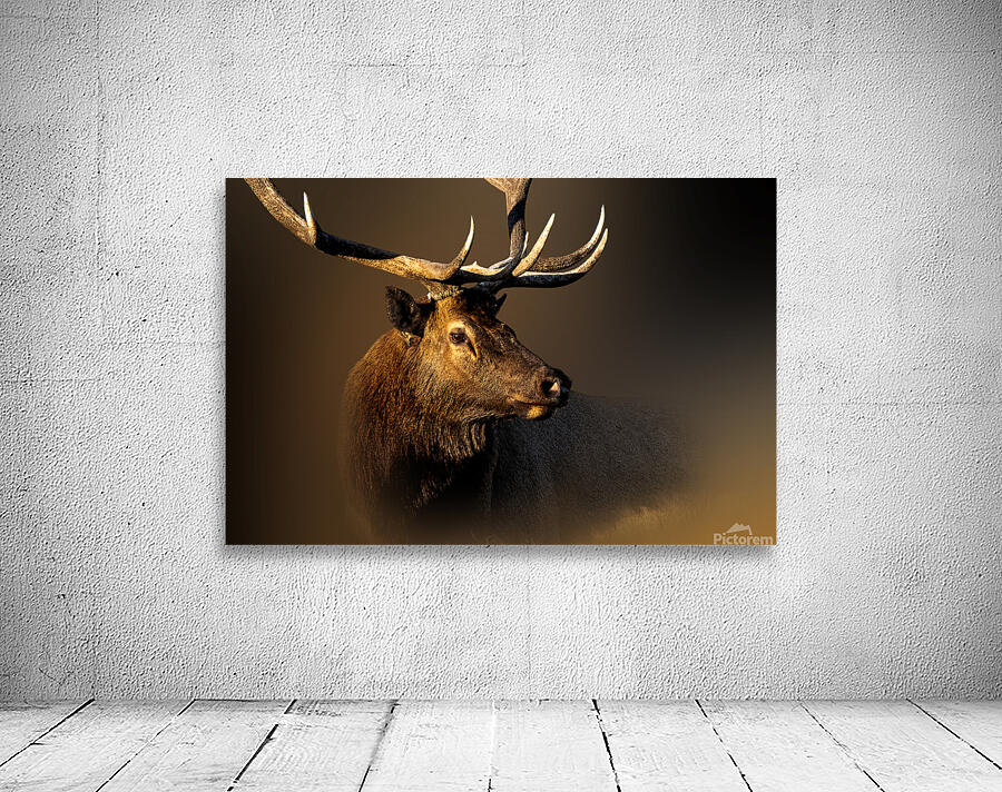 My Eyes Are Down Here Wall Preview