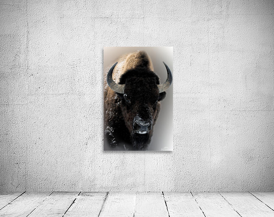 Warm Winter Coat  Wall Preview