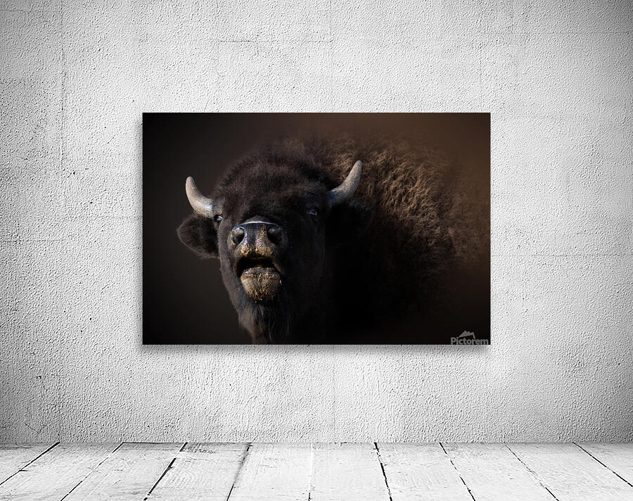 Bellowing Wall Preview