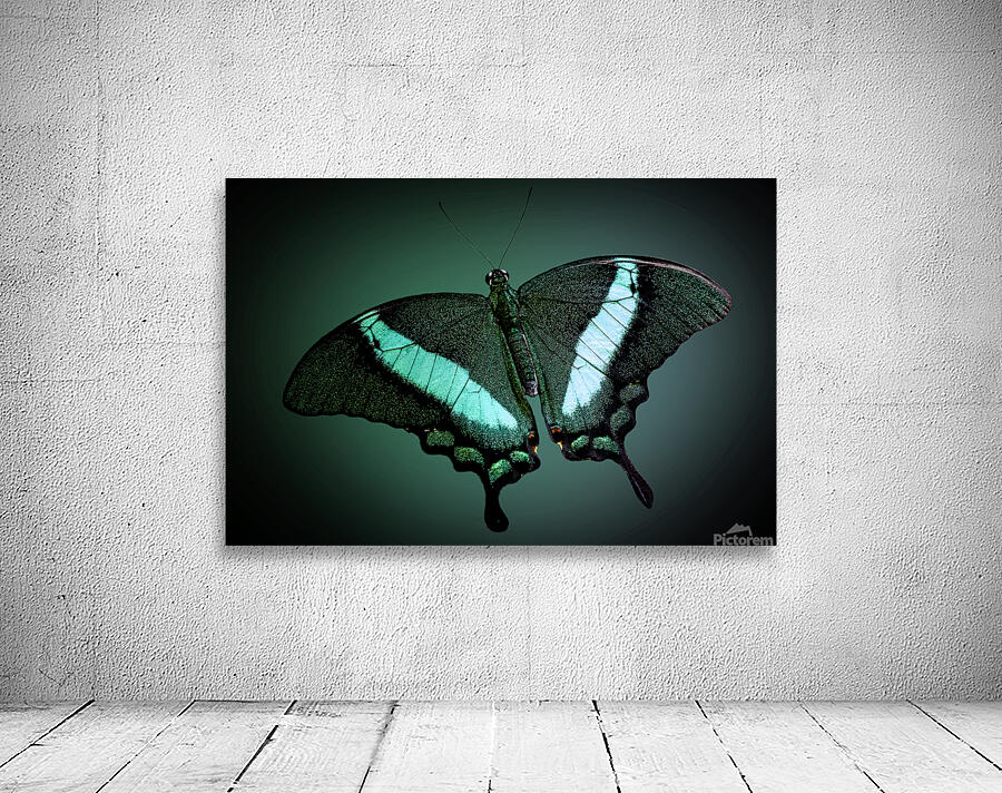 Emerald Beauty Wall Preview