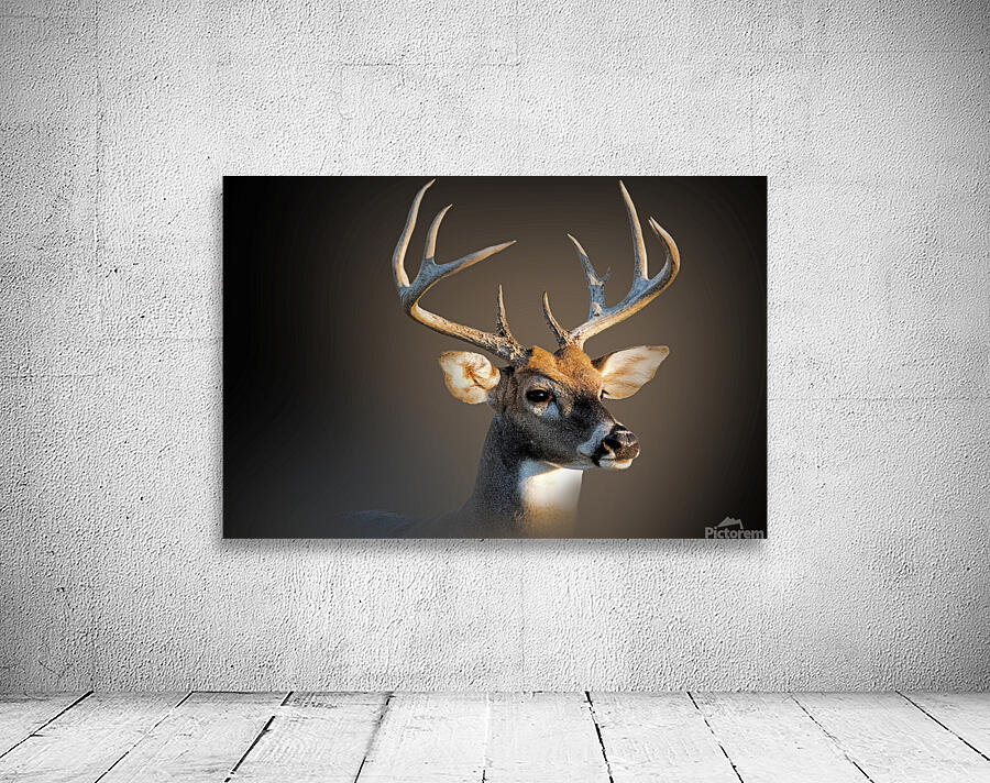 What the Buck Wall Preview