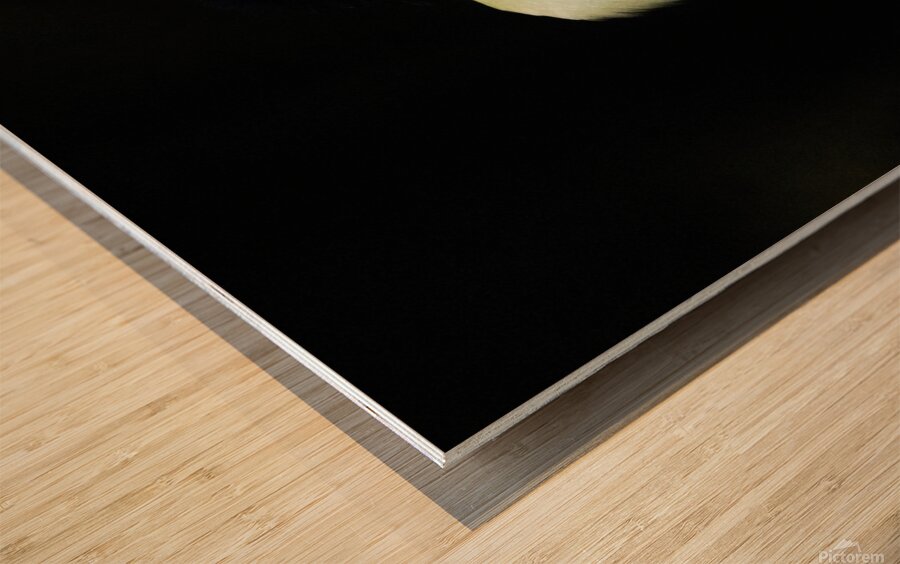 In the Light Wood print