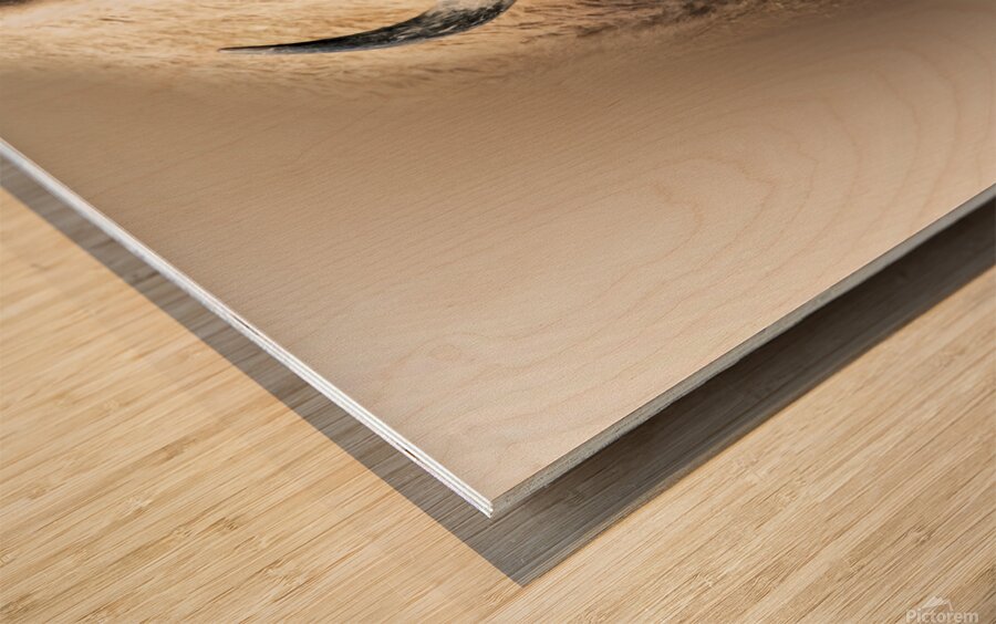 Earth Shaker Wood print