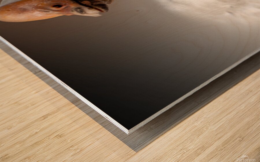 We Love You Wood print