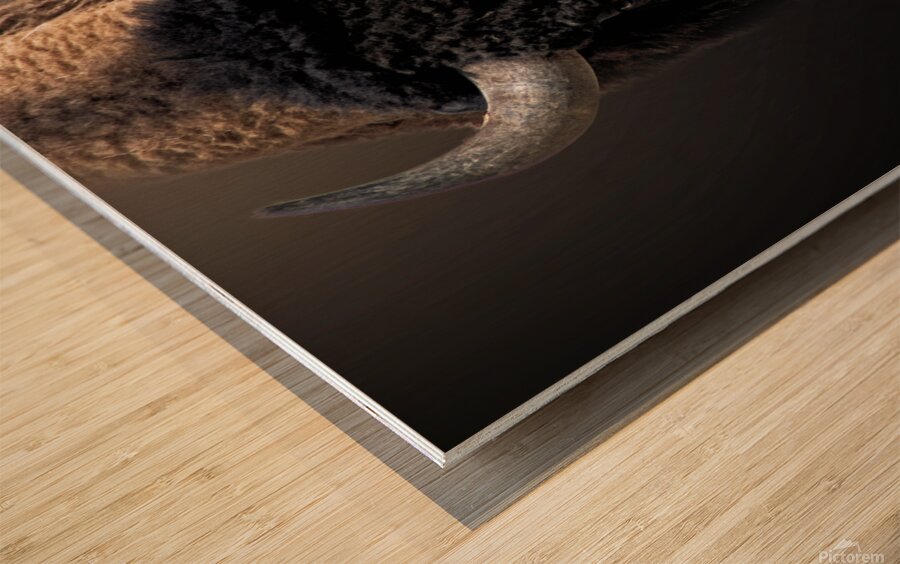 The Business End Wood print