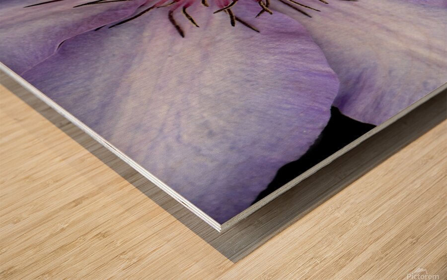 Clap Burst Wood print