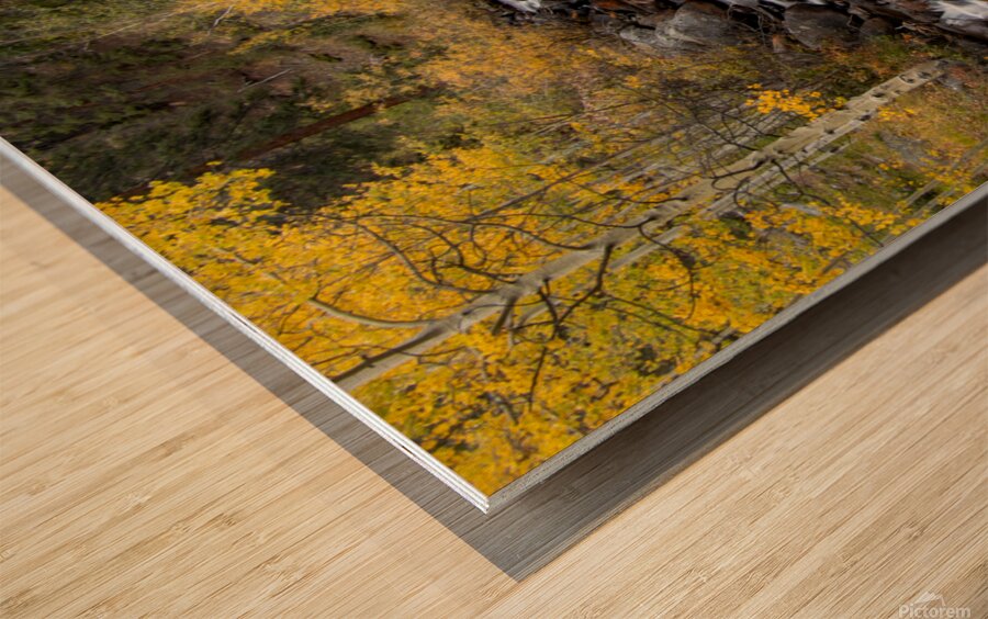 Fall Sanctuary Wood print