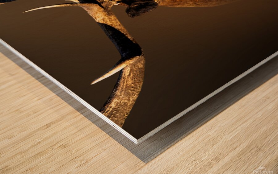 My Eyes Are Down Here Wood print