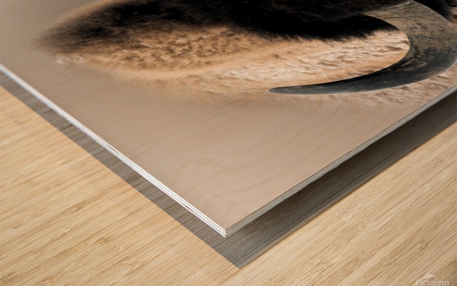 Warm Winter Coat  Wood print