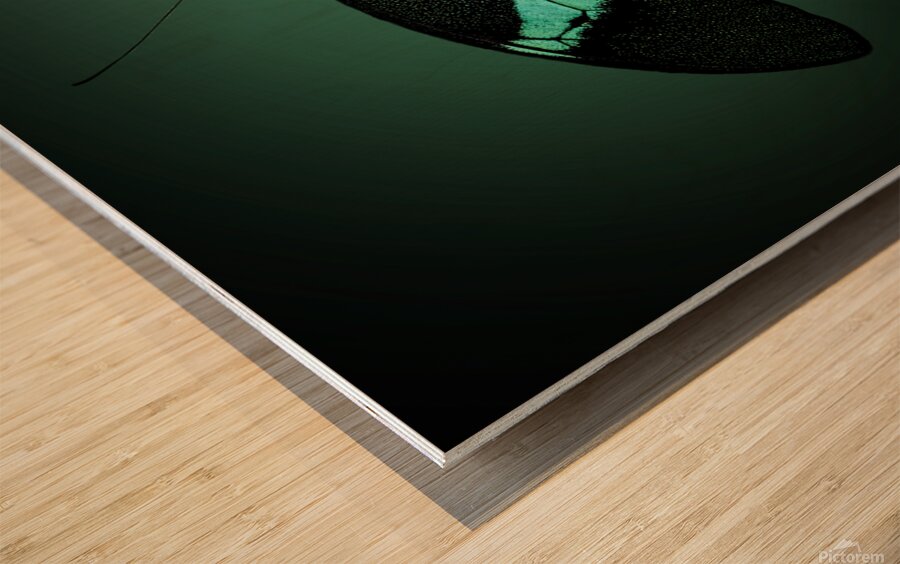 Emerald Beauty Wood print