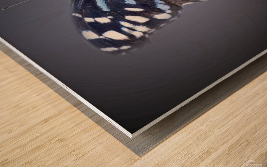 And Im Feeling Blue Wood print